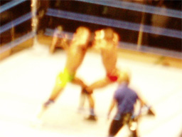 WWE�@2004�N10��16���@������