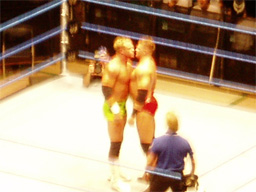 WWE�@2004�N10��16���@������