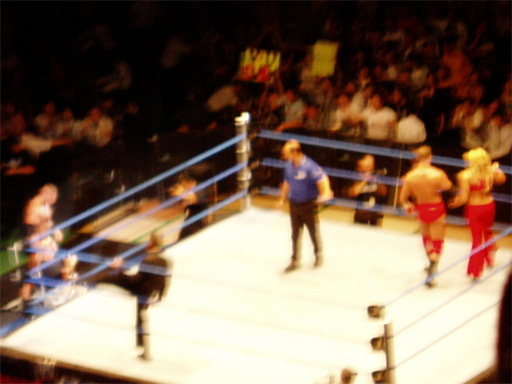 WWE�@2004�N10��16���@������