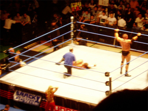 WWE�@2004�N10��16���@������