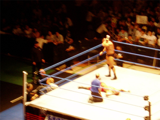 WWE�@2004�N10��16���@������