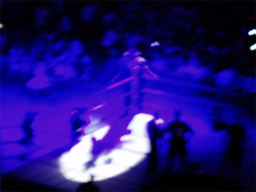 WWE�@2004�N10��16���@������