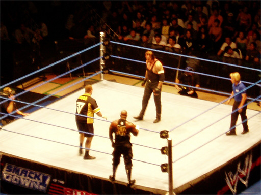 WWE�@2004�N10��16���@������