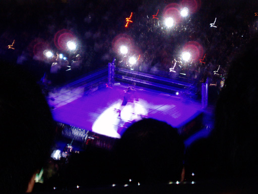 WWE�@2004�N10��16���@������