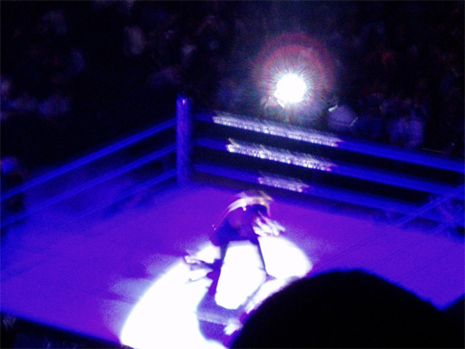 WWE�@2004�N10��16���@������