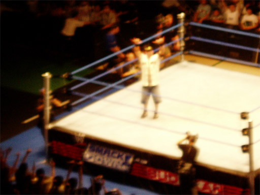 WWE�@2004�N10��16���@������