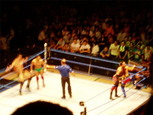 WWE�@2004�N10��16���@������