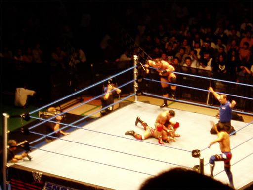 WWE�@2004�N10��16���@������