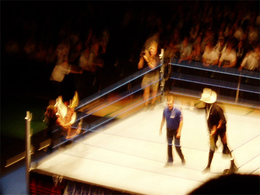 WWE�@2004�N10��16���@������