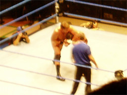 WWE�@2004�N10��16���@������