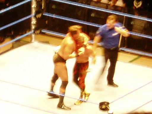 WWE�@2004�N10��16���@������