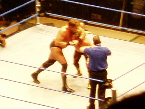 WWE�@2004�N10��16���@������