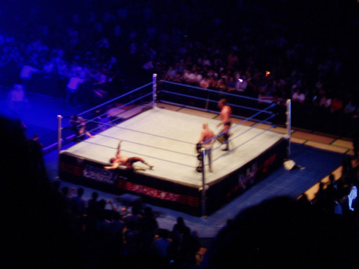 WWE�@2004�N10��16���@������