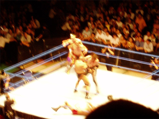 WWE�@2004�N10��16���@������