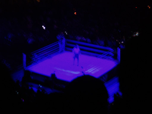 WWE�@2004�N10��16���@������